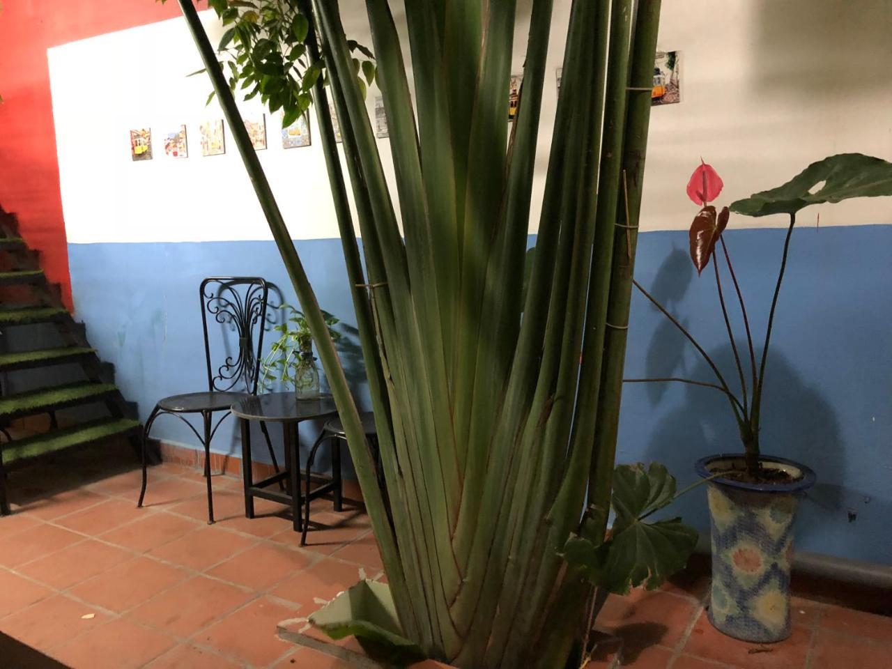Ventana House Apartment Hai Phong Luaran gambar
